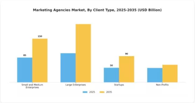 Marketing agencies market by client type chart from the PowerPoint